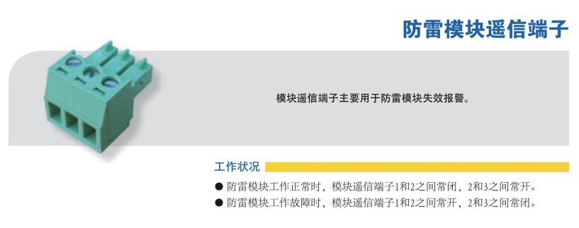 10 防雷模块遥信端子.jpg